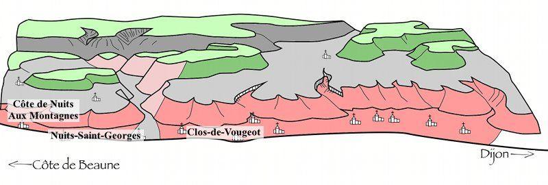 cote-de-nuits
